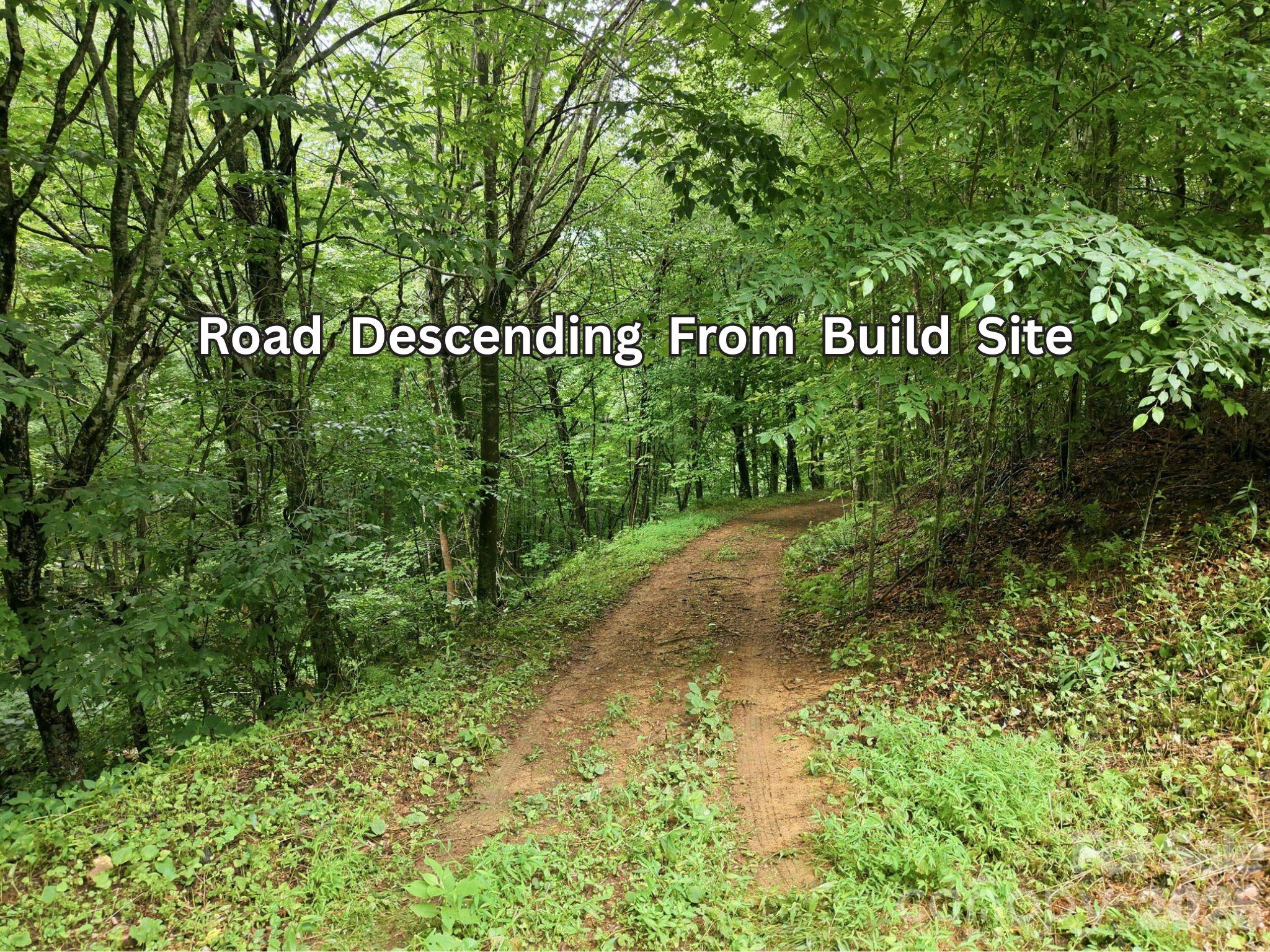 220 Screaming Eagle Drive Property Photo 14