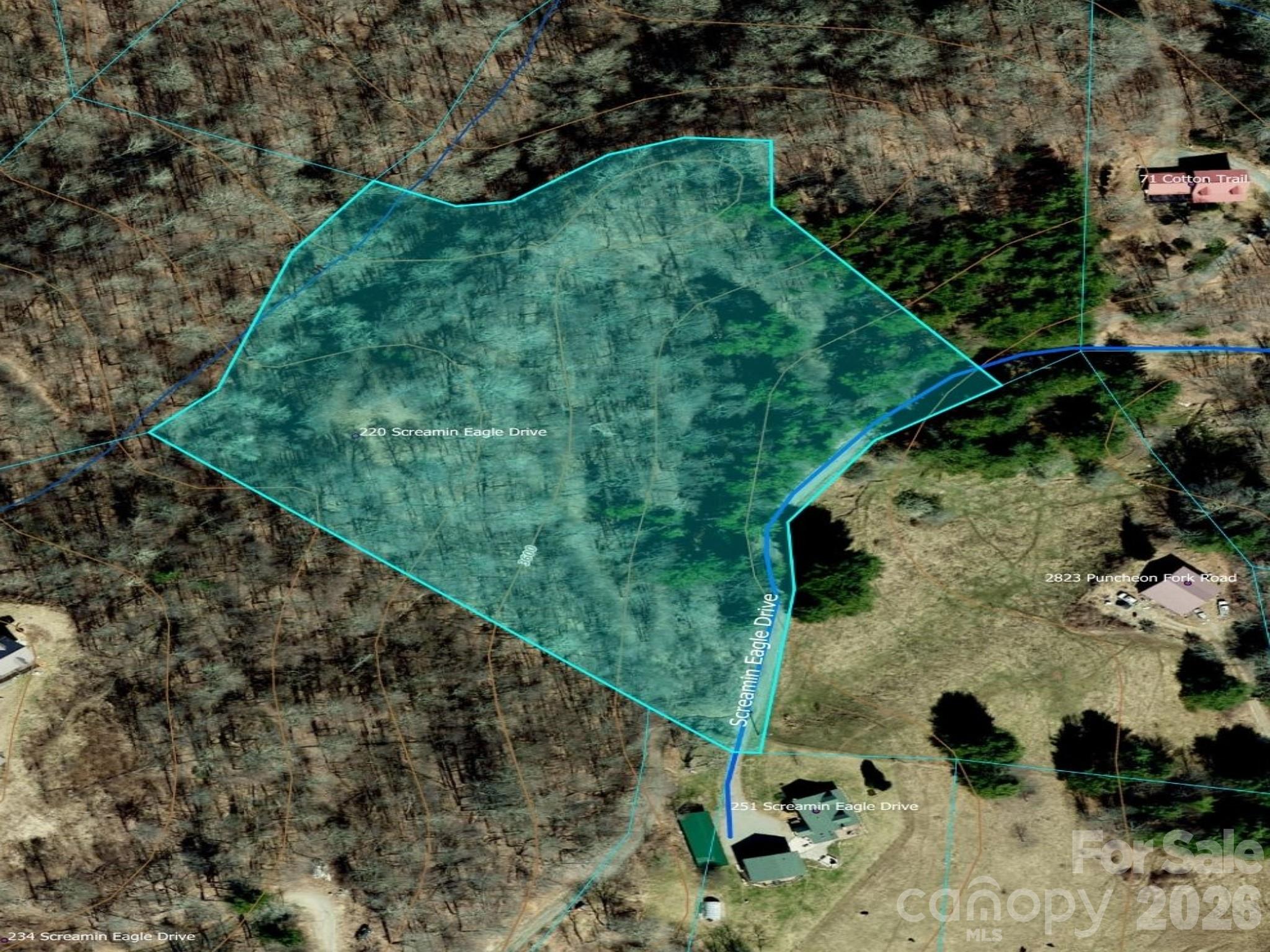 220 Screaming Eagle Drive Property Photo 17
