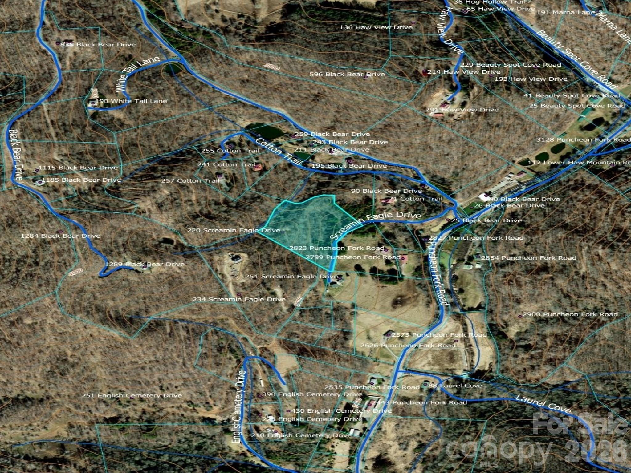 220 Screaming Eagle Drive Property Photo 18