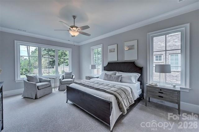 16117 Halle Marie Circle Property Photo 14