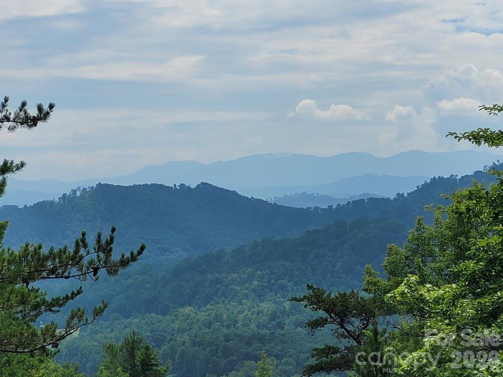 0 Oconee Drive Property Photo 1