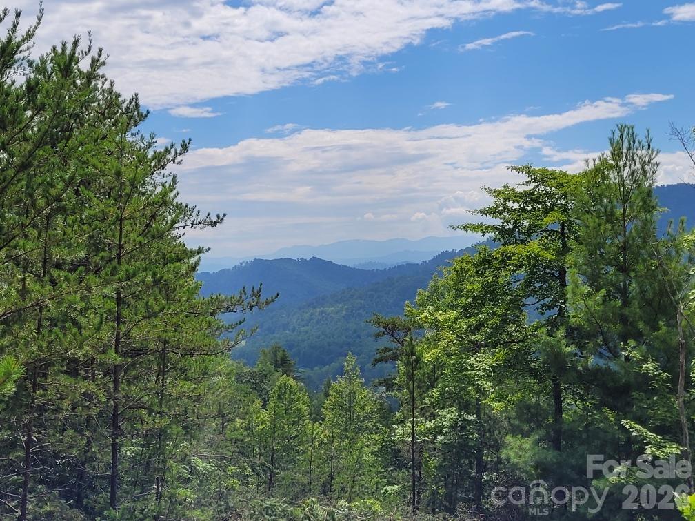 0 Oconee Drive Property Photo 9