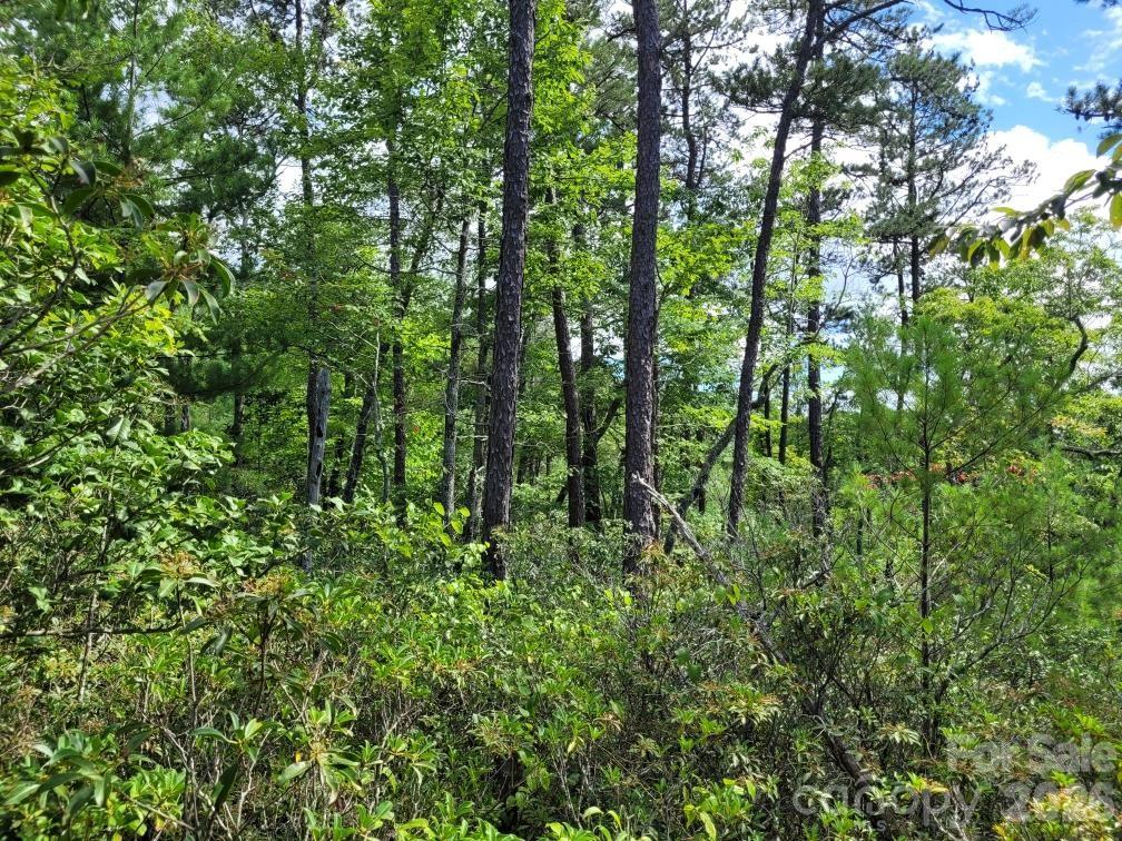 0 Oconee Drive Property Photo 18