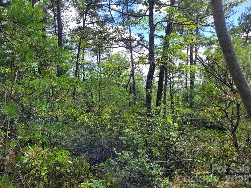 0 Oconee Drive Property Photo 26