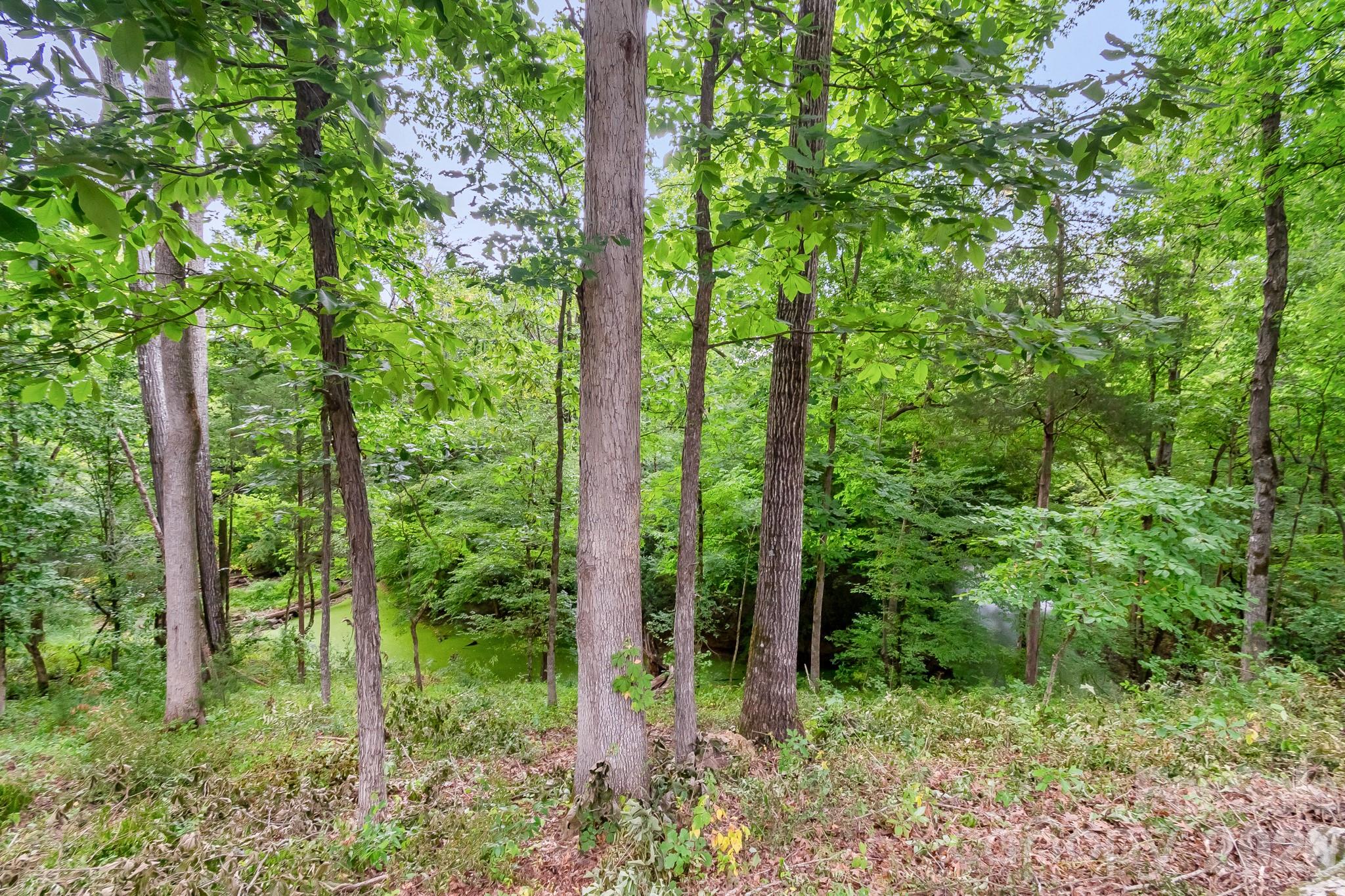 3248 The Knoll Lane Property Photo 43