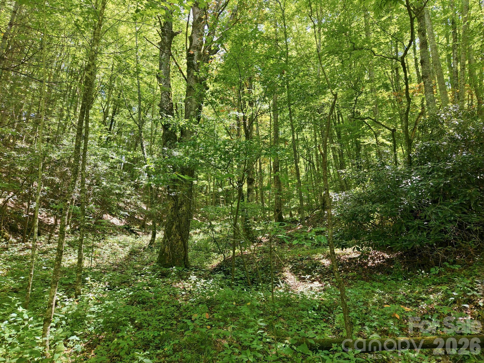 1158 Dark Ridge Road Property Photo 5