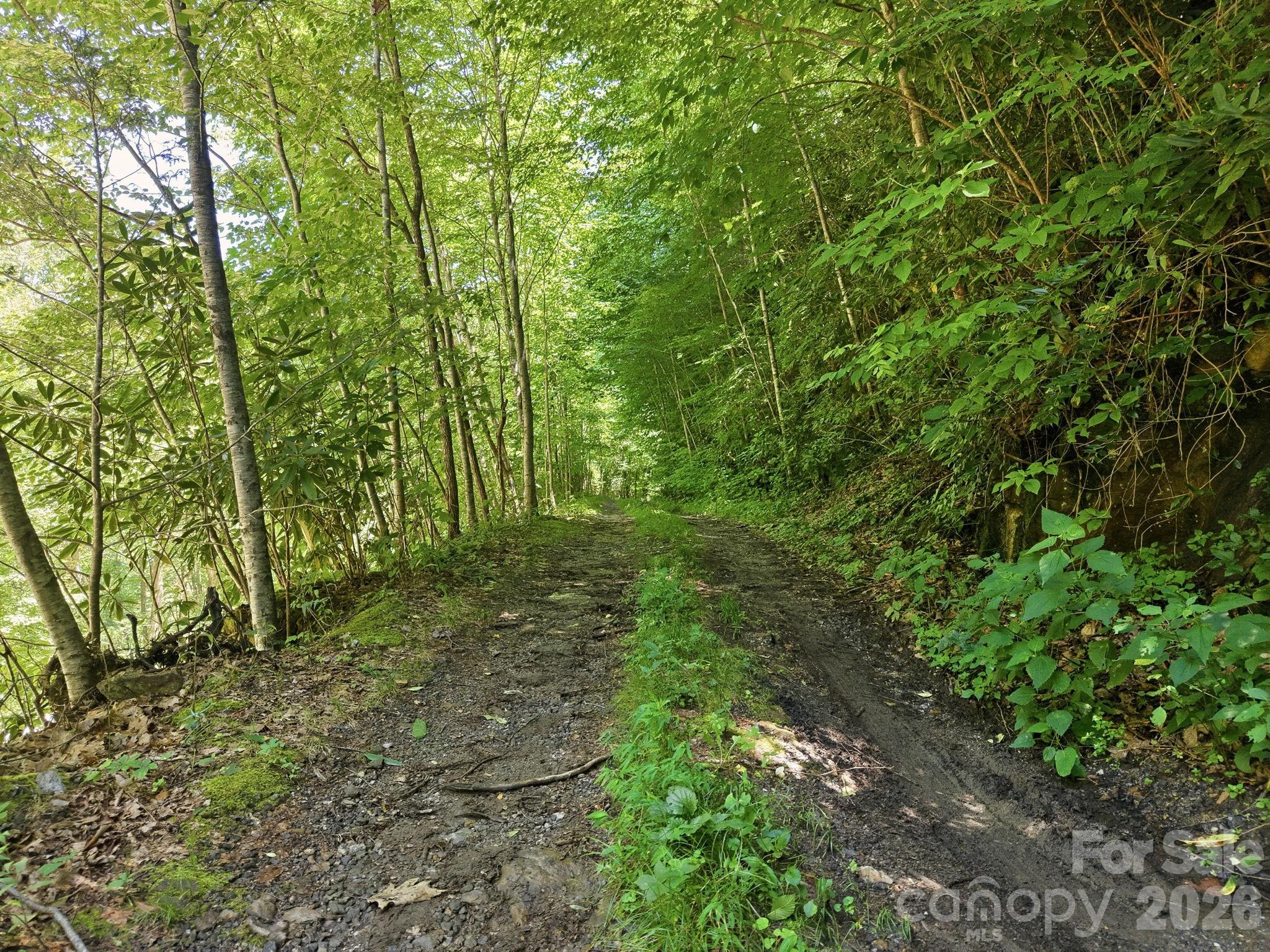 1158 Dark Ridge Road Property Photo 8