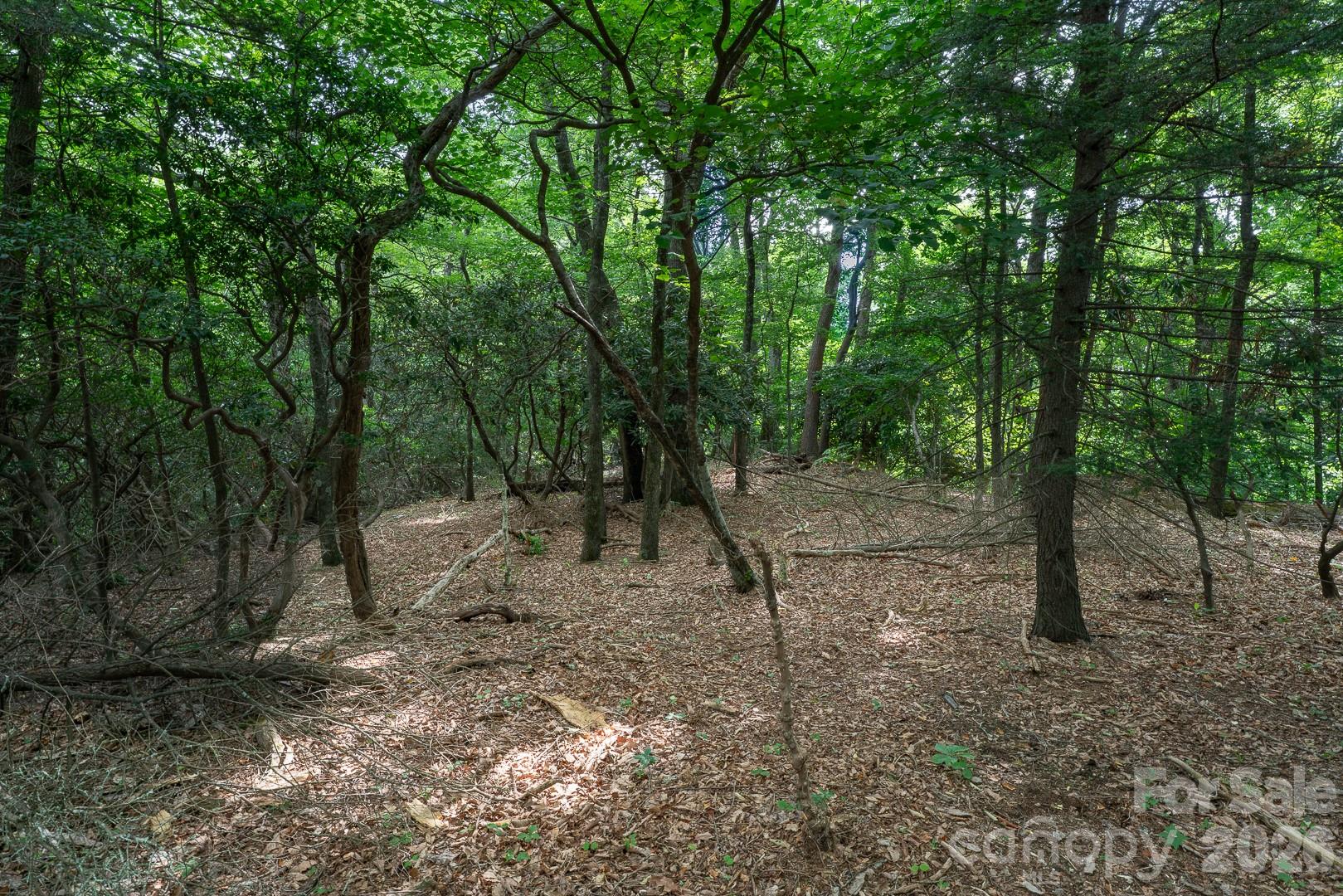 Lot 4 Old Orchard Road 4 Property Photo 7