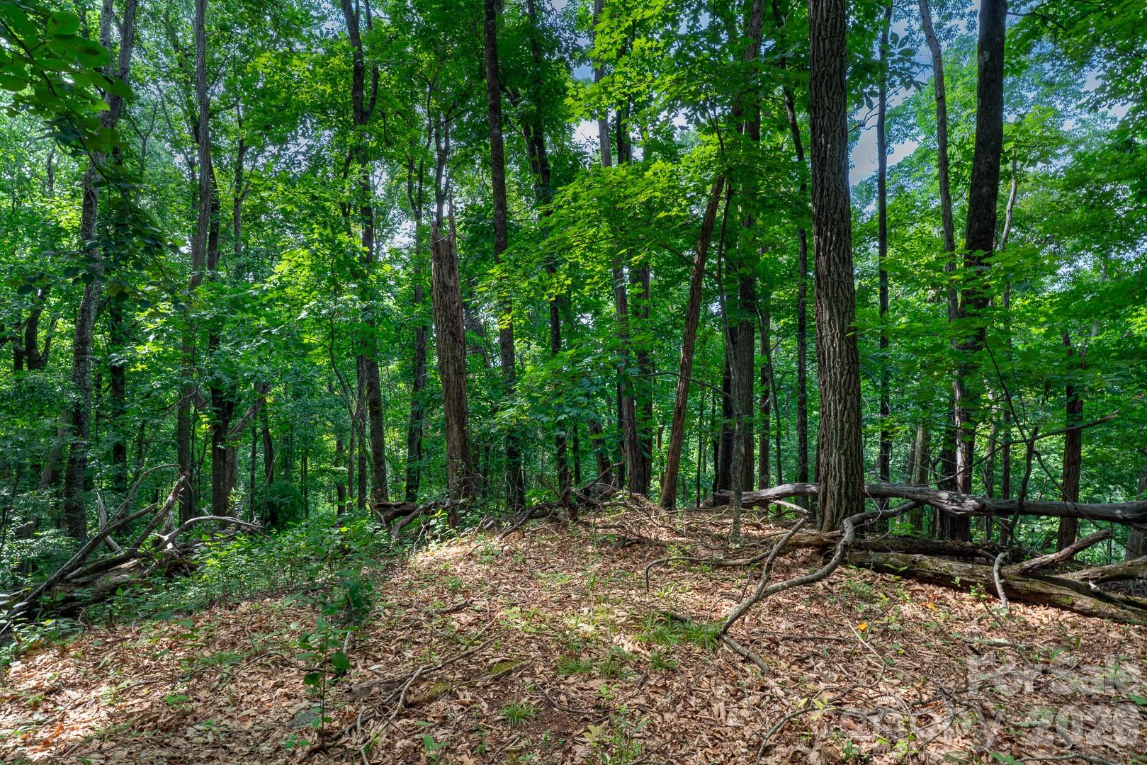 Lot 4 Old Orchard Road 4 Property Photo 8