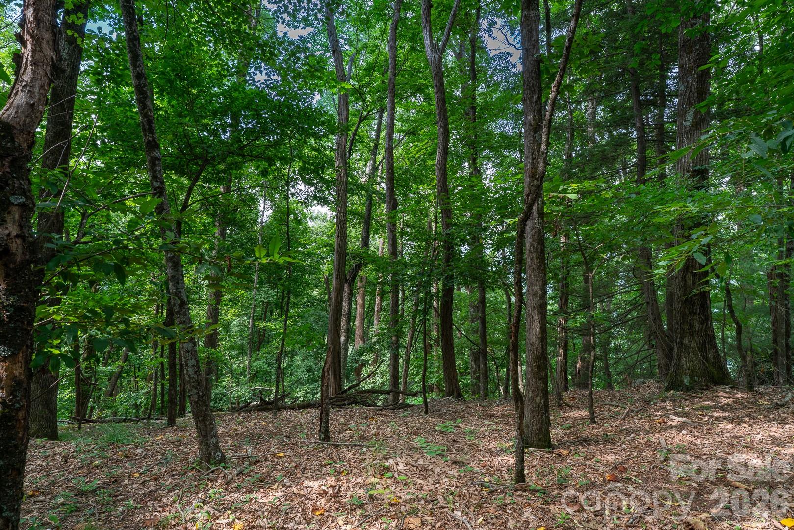 Lot 4 Old Orchard Road 4 Property Photo 10