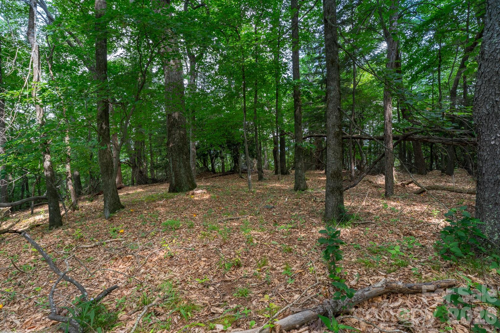 Lot 4 Old Orchard Road 4 Property Photo 11