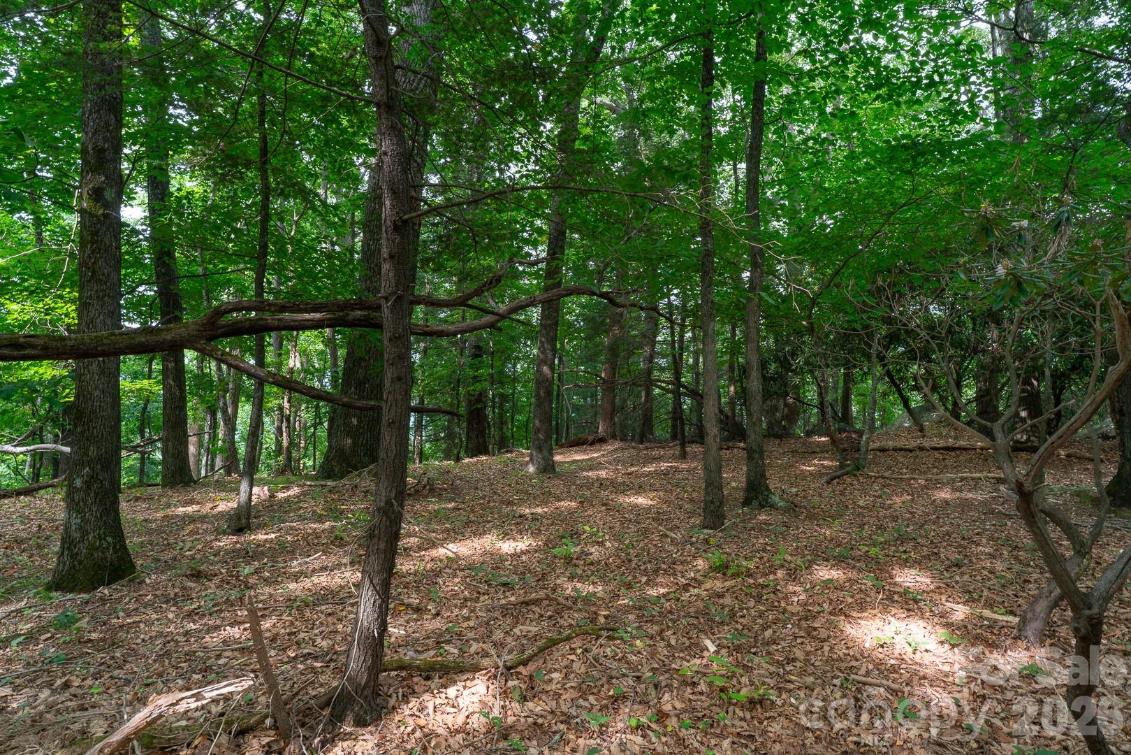 Lot 4 Old Orchard Road 4 Property Photo 12