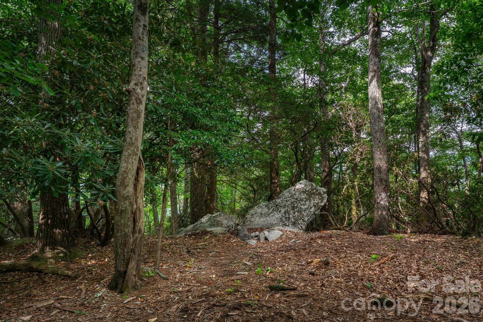 Lot 4 Old Orchard Road 4 Property Photo 13