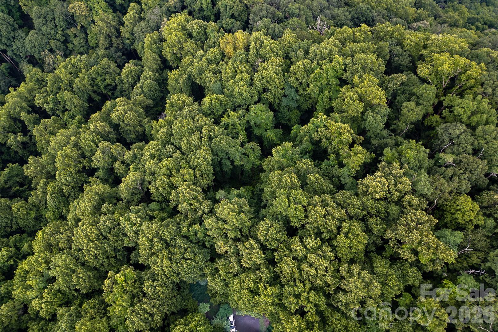 Lot 4 Old Orchard Road 4 Property Photo 14