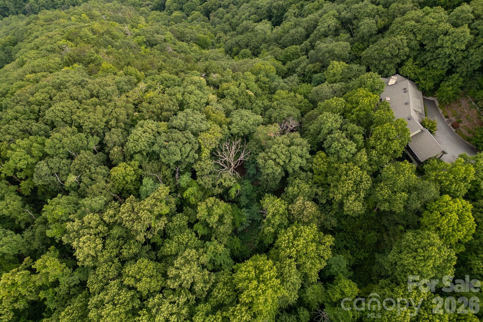 Lot 4 Old Orchard Road 4 Property Photo 16