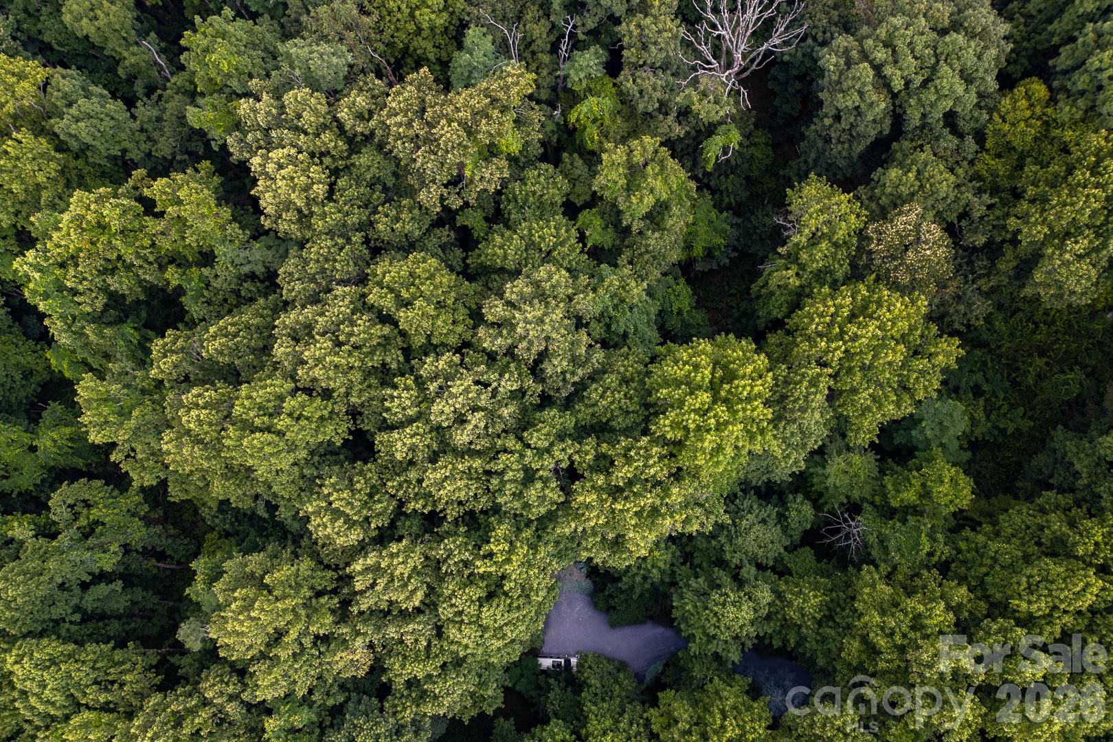 Lot 4 Old Orchard Road 4 Property Photo 17