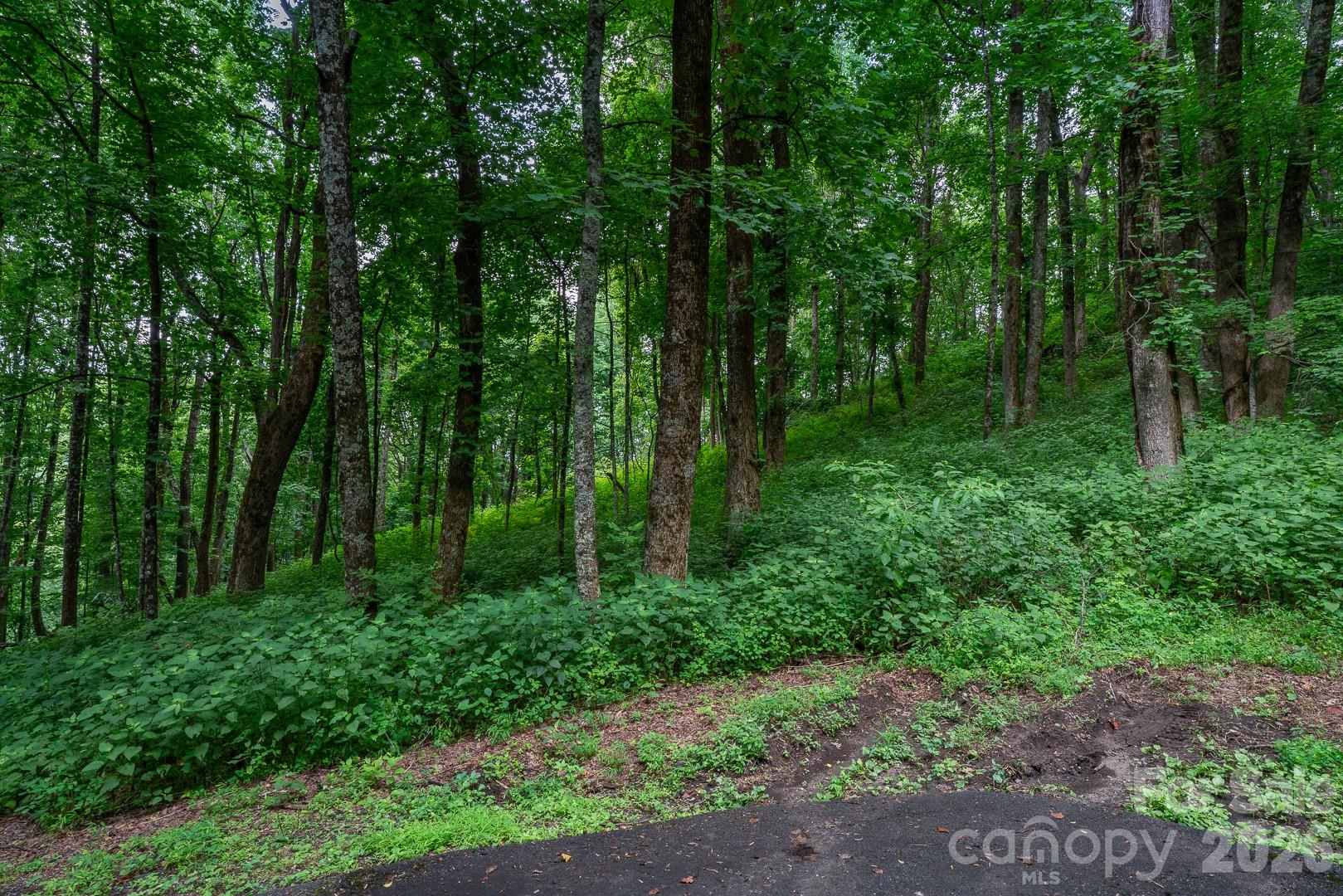 Lot 4 Old Orchard Road 4 Property Photo 18