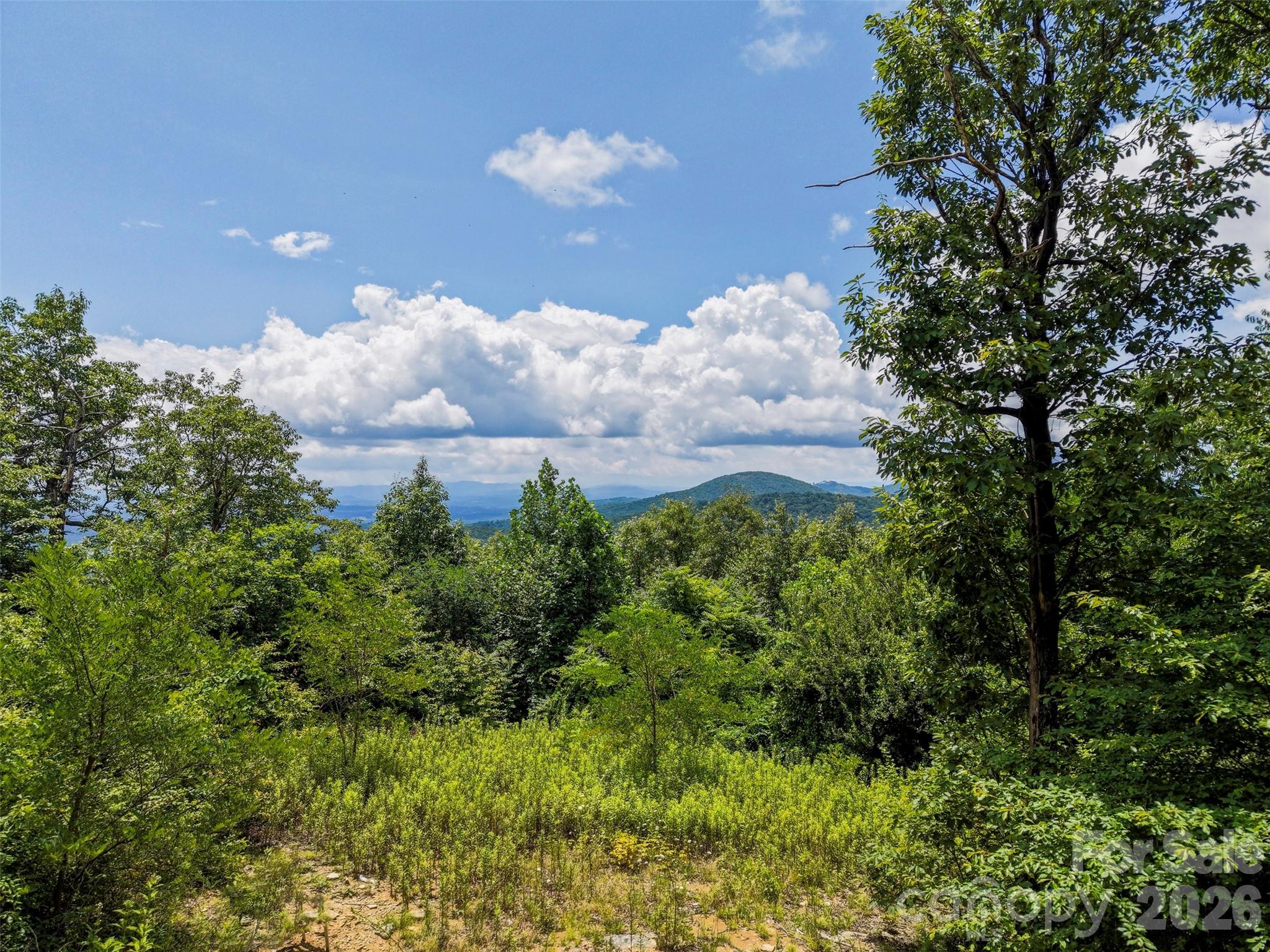 705 Pine Ridge Road 59 Property Photo 1