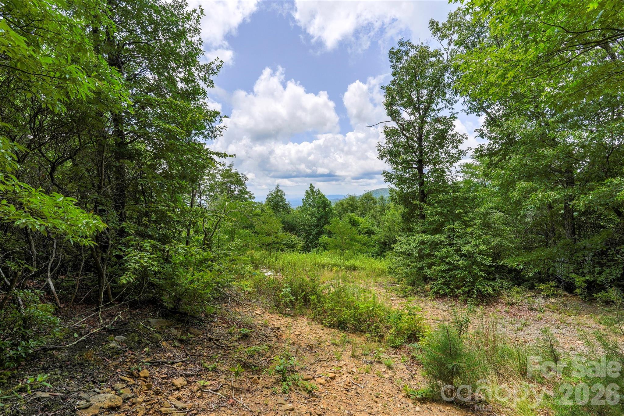 705 Pine Ridge Road 59 Property Photo 8