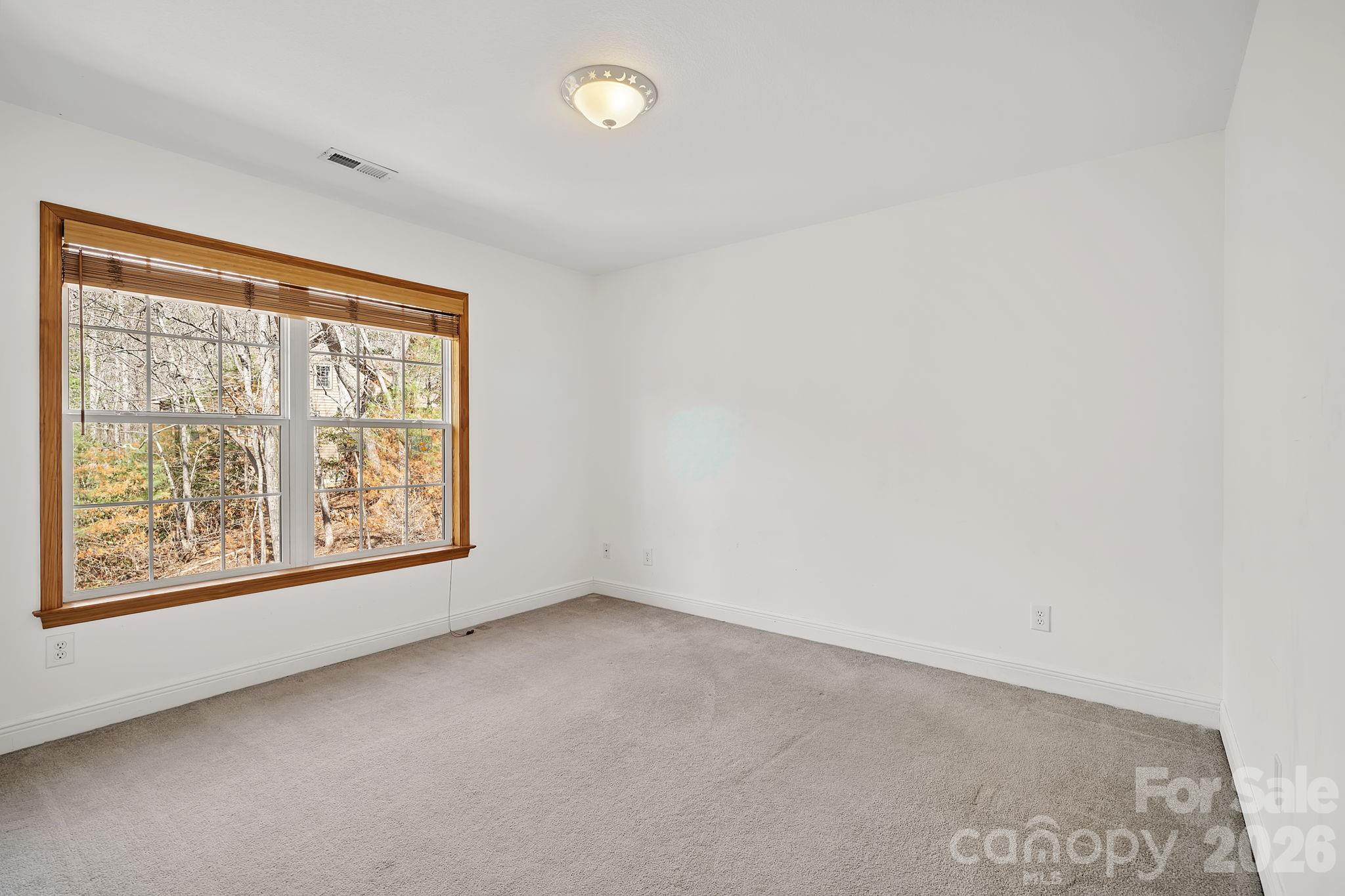36 Ivy Cove Road Property Photo 26