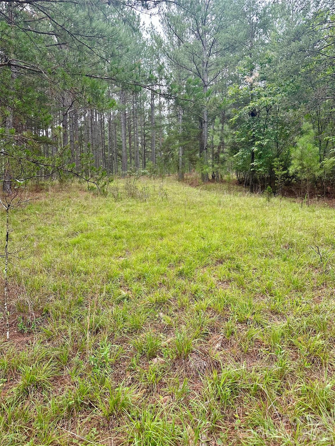 116 Cranberry Lane Property Photo 8