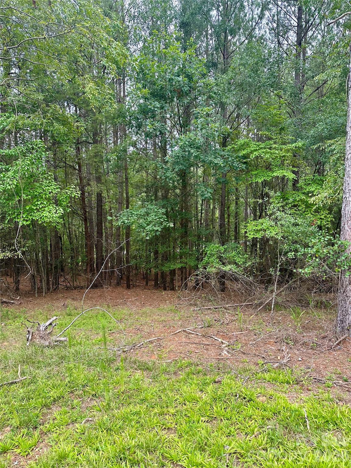116 Cranberry Lane Property Photo 9