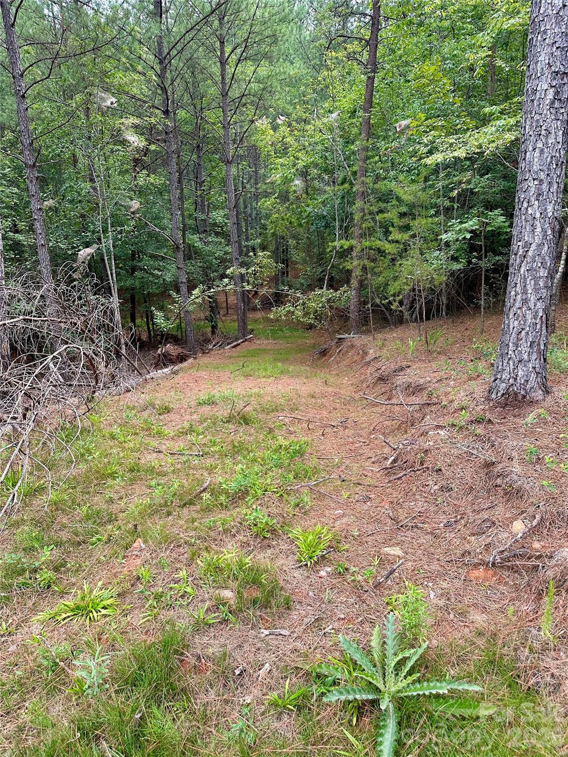 116 Cranberry Lane Property Photo 13