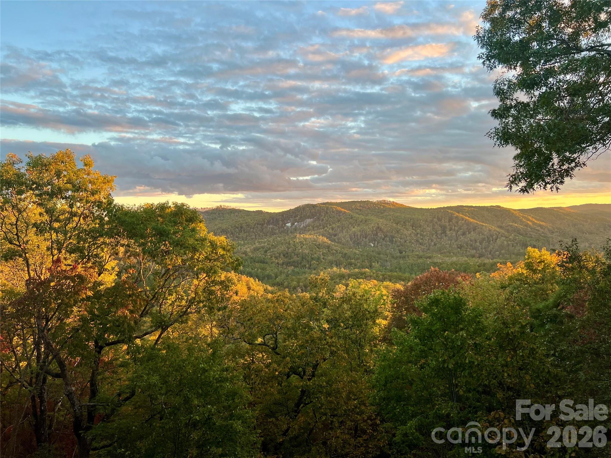 138 Bear Paw Drive Property Photo 47