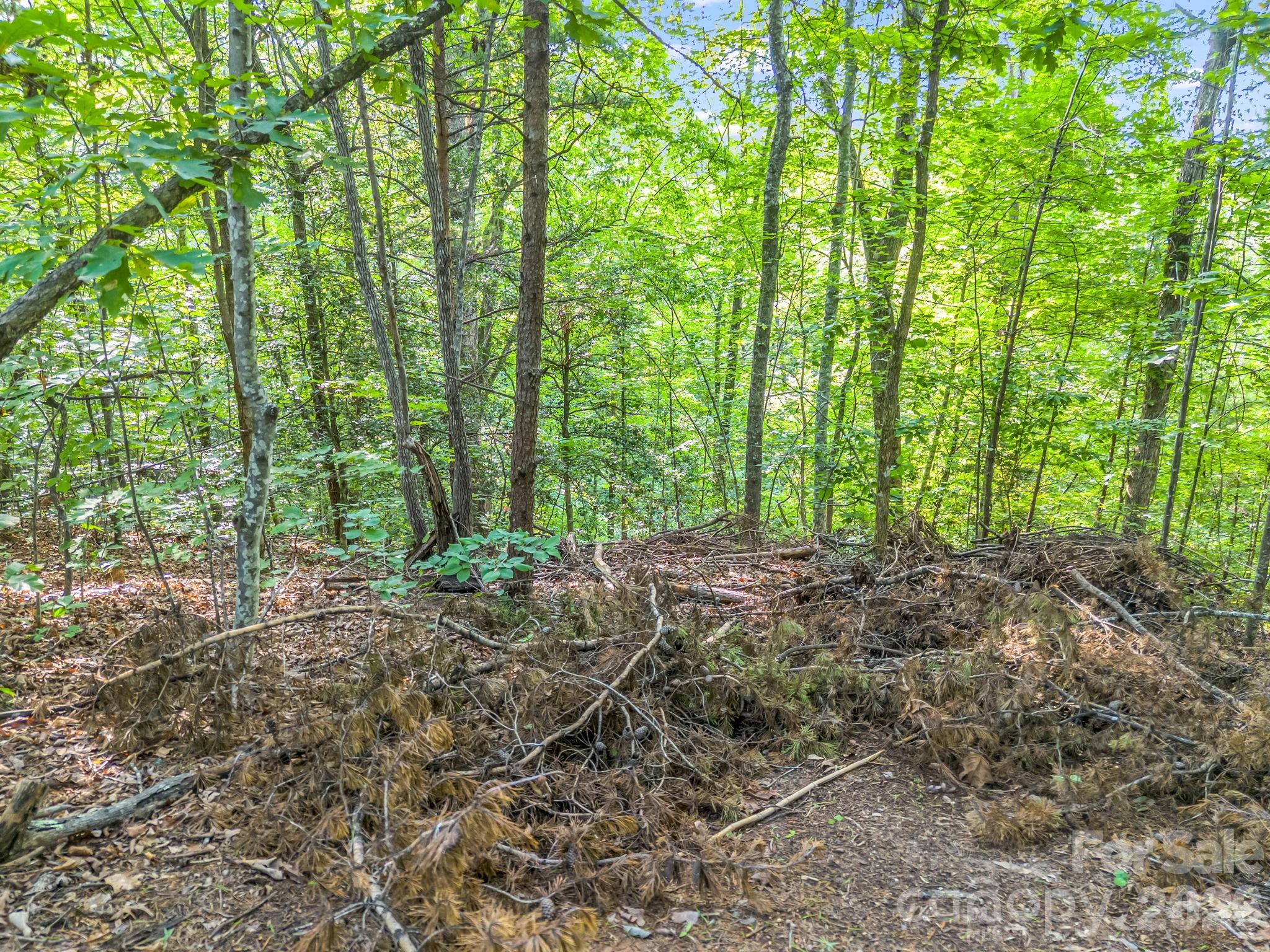 00 Laurel Lakes Parkway 44 Property Photo 6