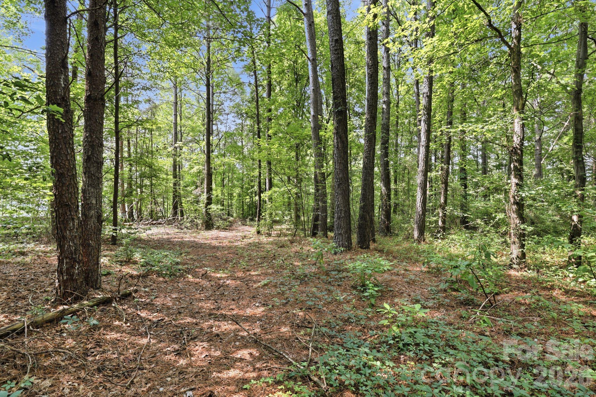 0 Sherrills Ford Road Property Photo 10