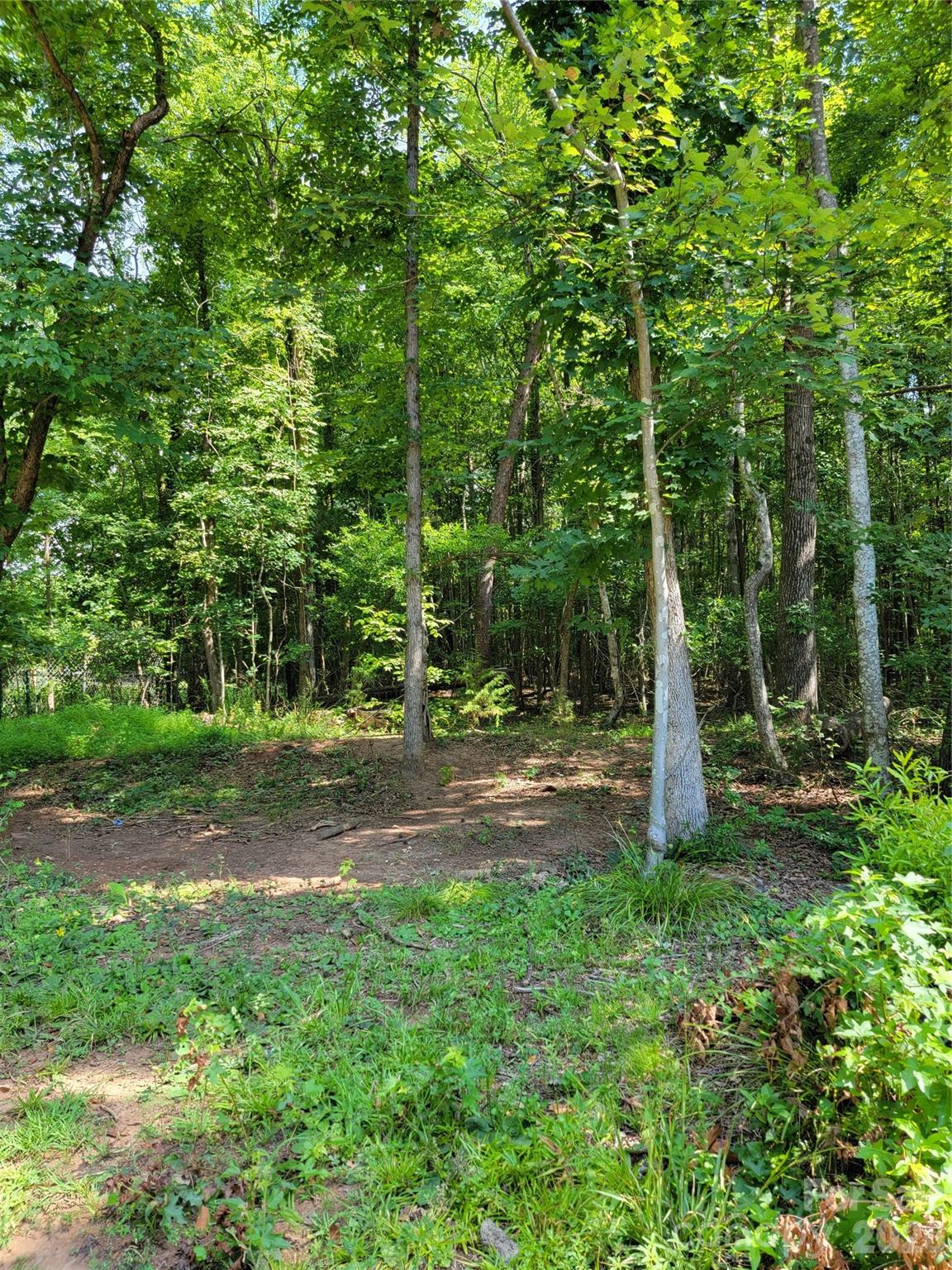 5326 Forestwinds Drive Property Photo 4