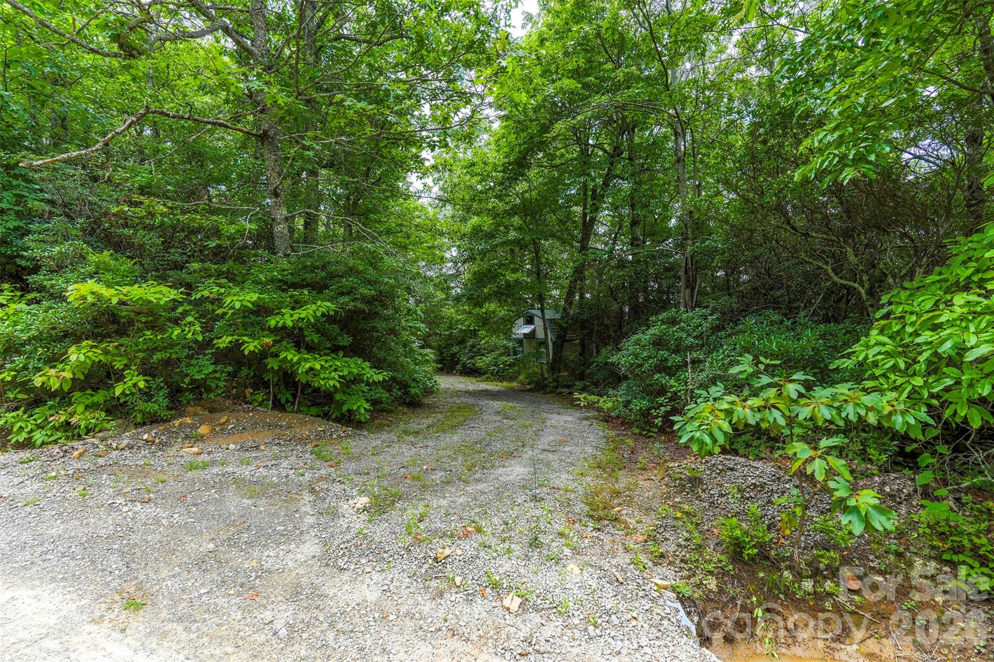 Na Pine Ridge Road 60 Property Photo 5