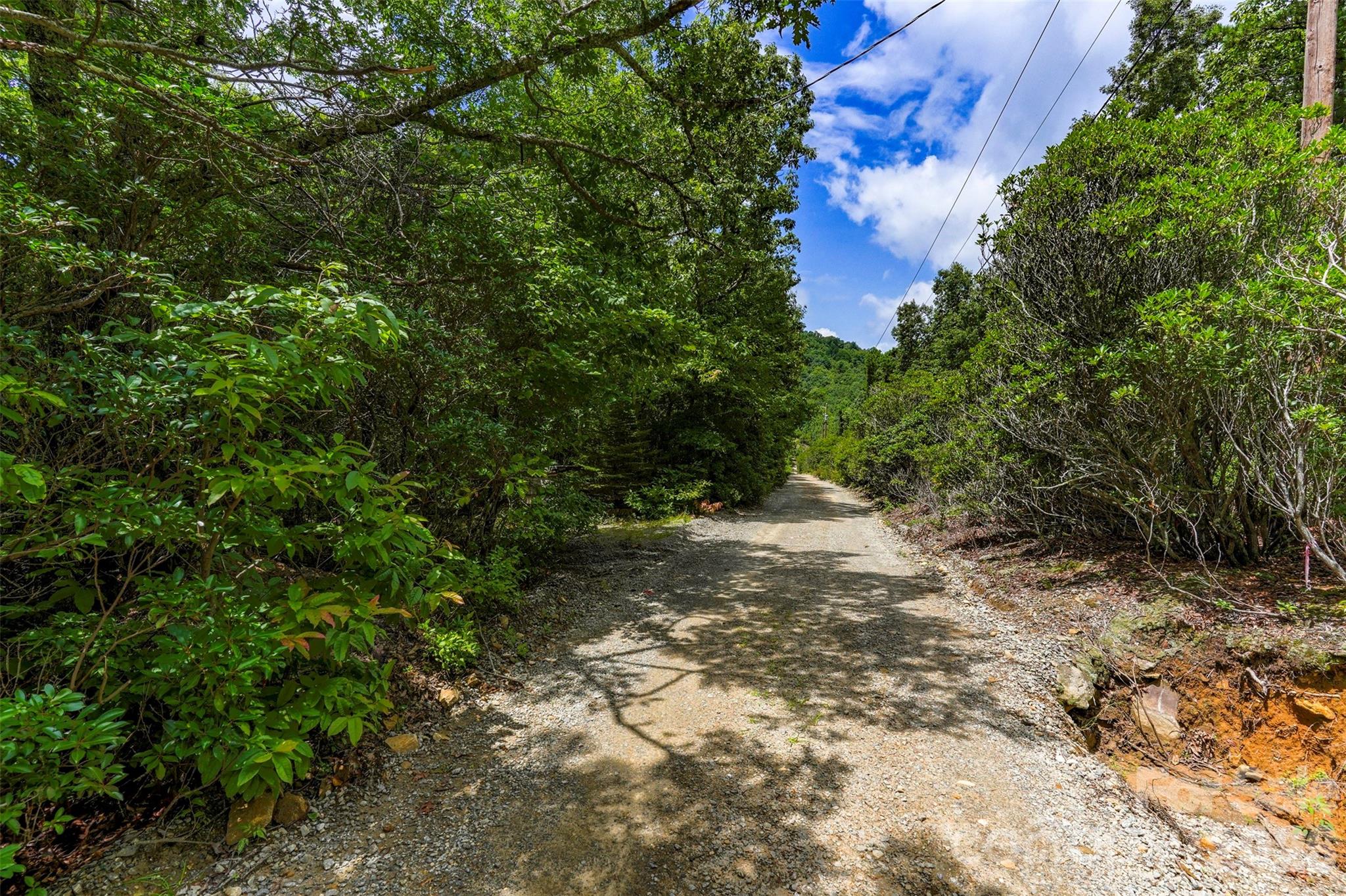 Na Pine Ridge Road 60 Property Photo 7
