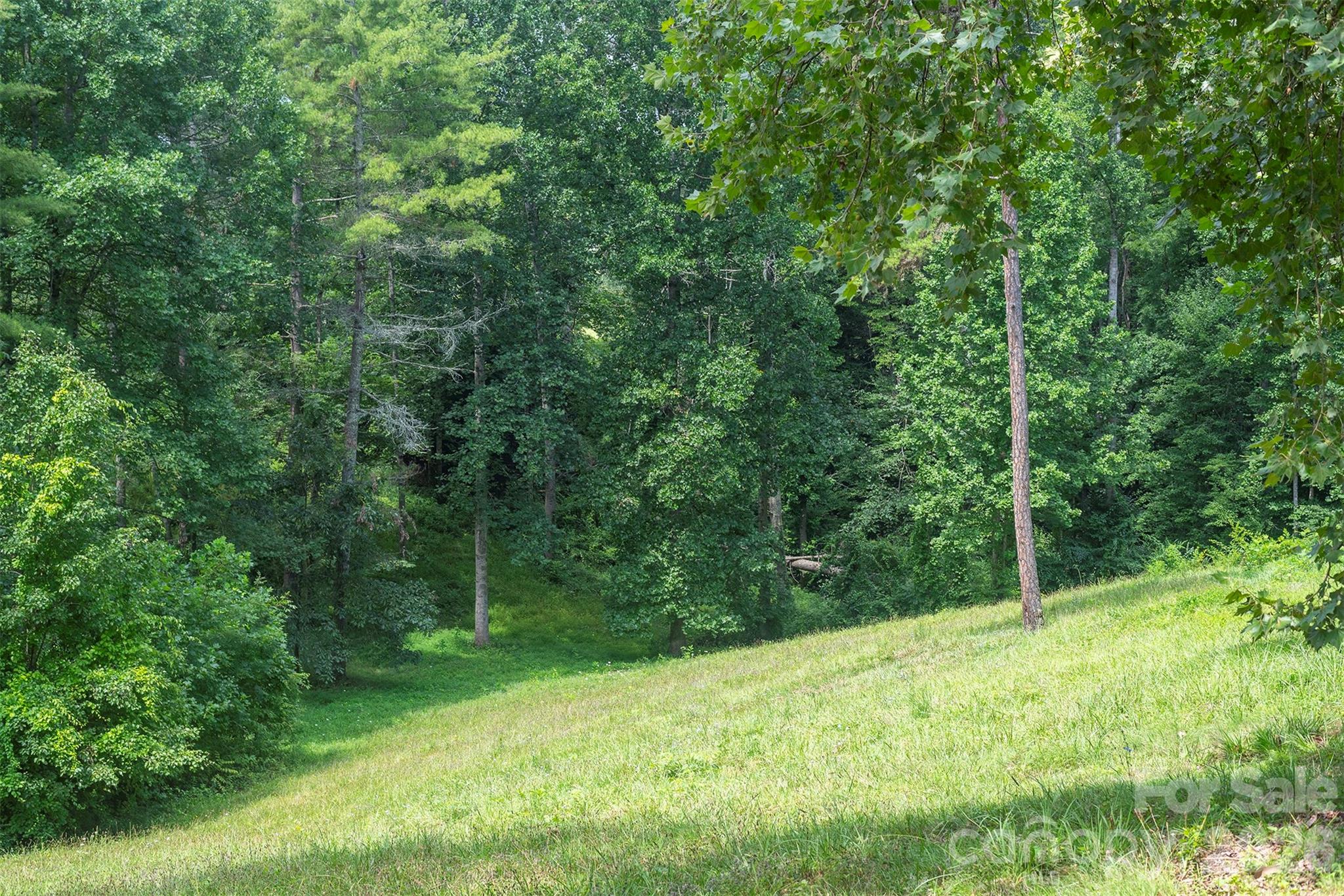 90 Pine Forest Drive Property Photo 46