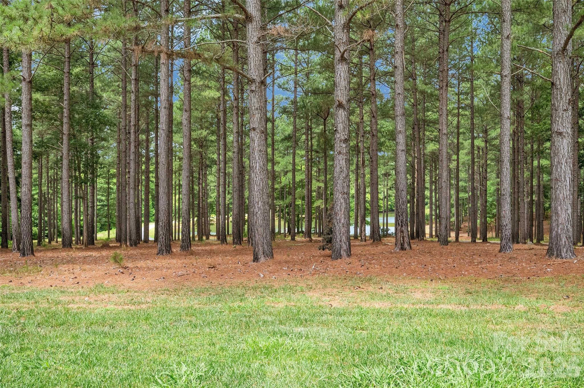 1910 Nc Hwy 134 Highway Property Photo 39