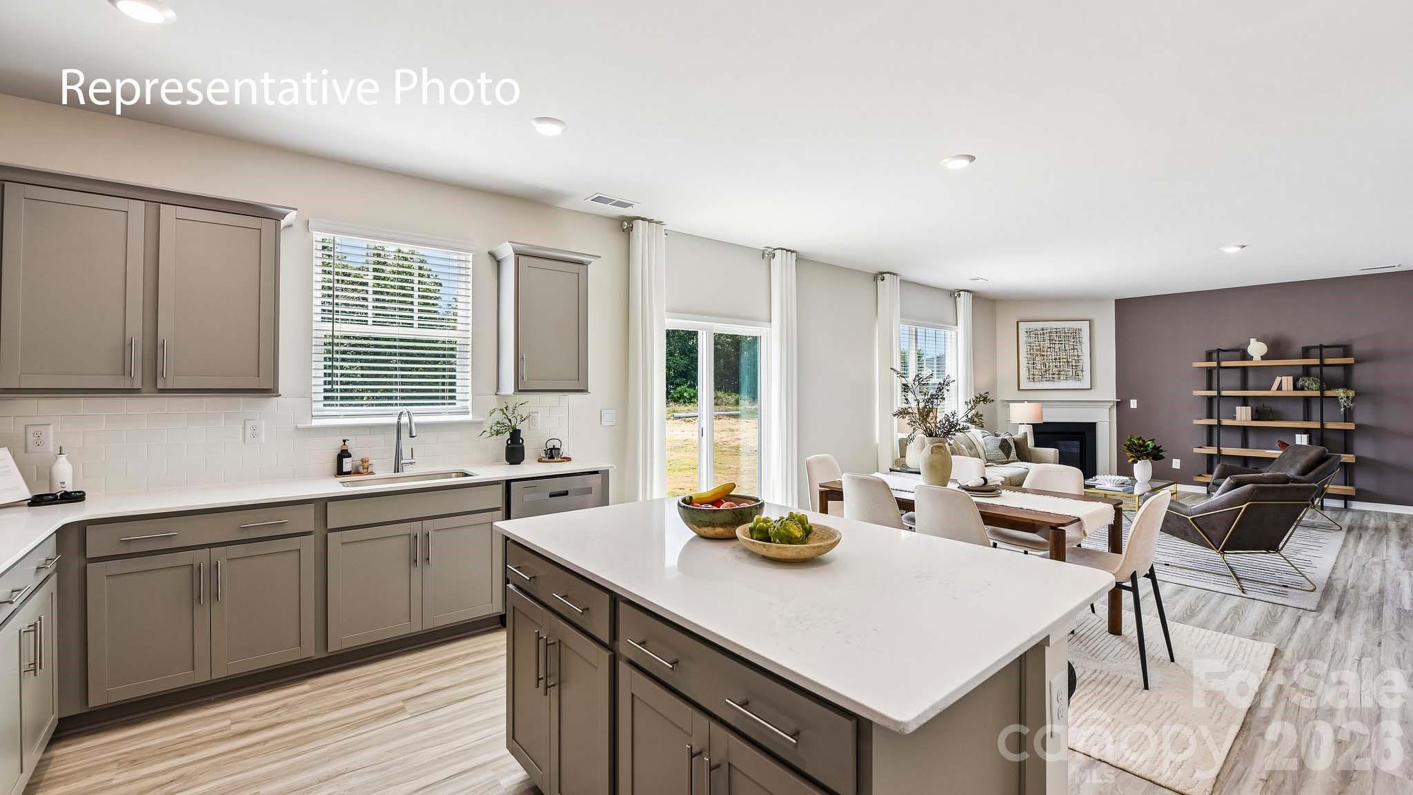 451 Dazzle Loop Property Photo 3