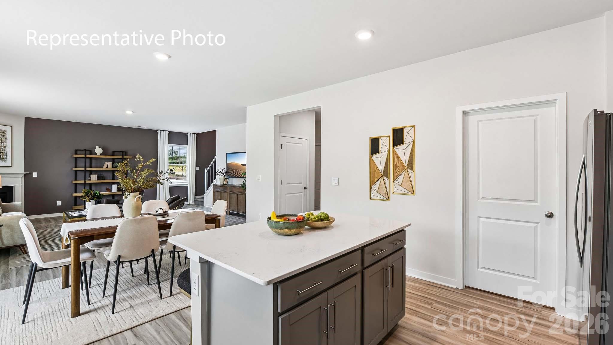 451 Dazzle Loop Property Photo 4