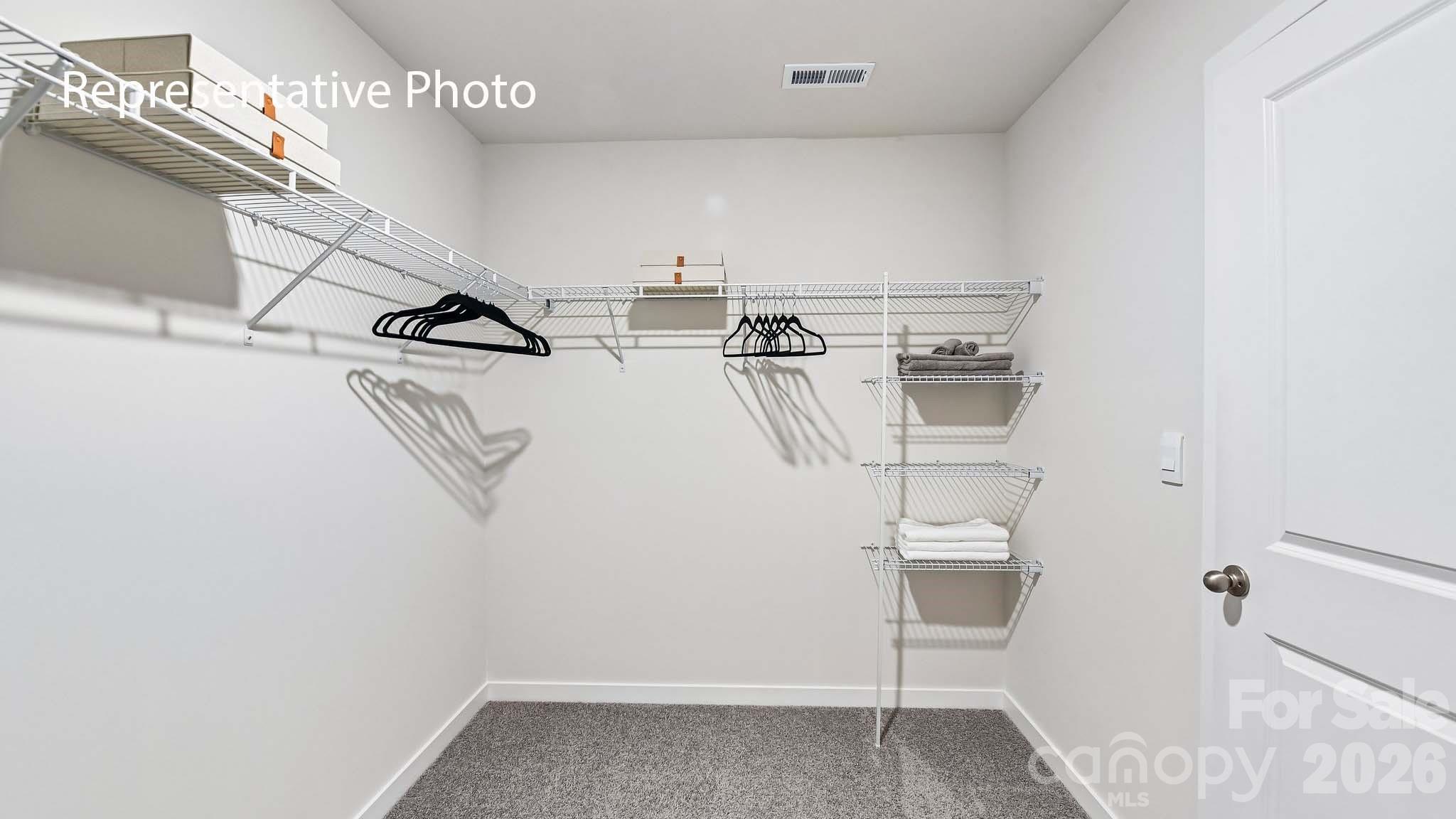 451 Dazzle Loop Property Photo 23