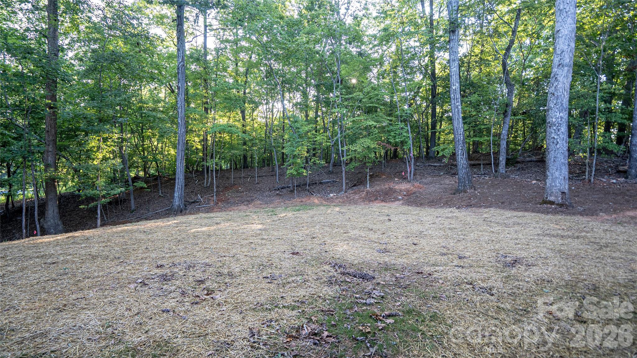 644 Roxboro Drive Property Photo 31