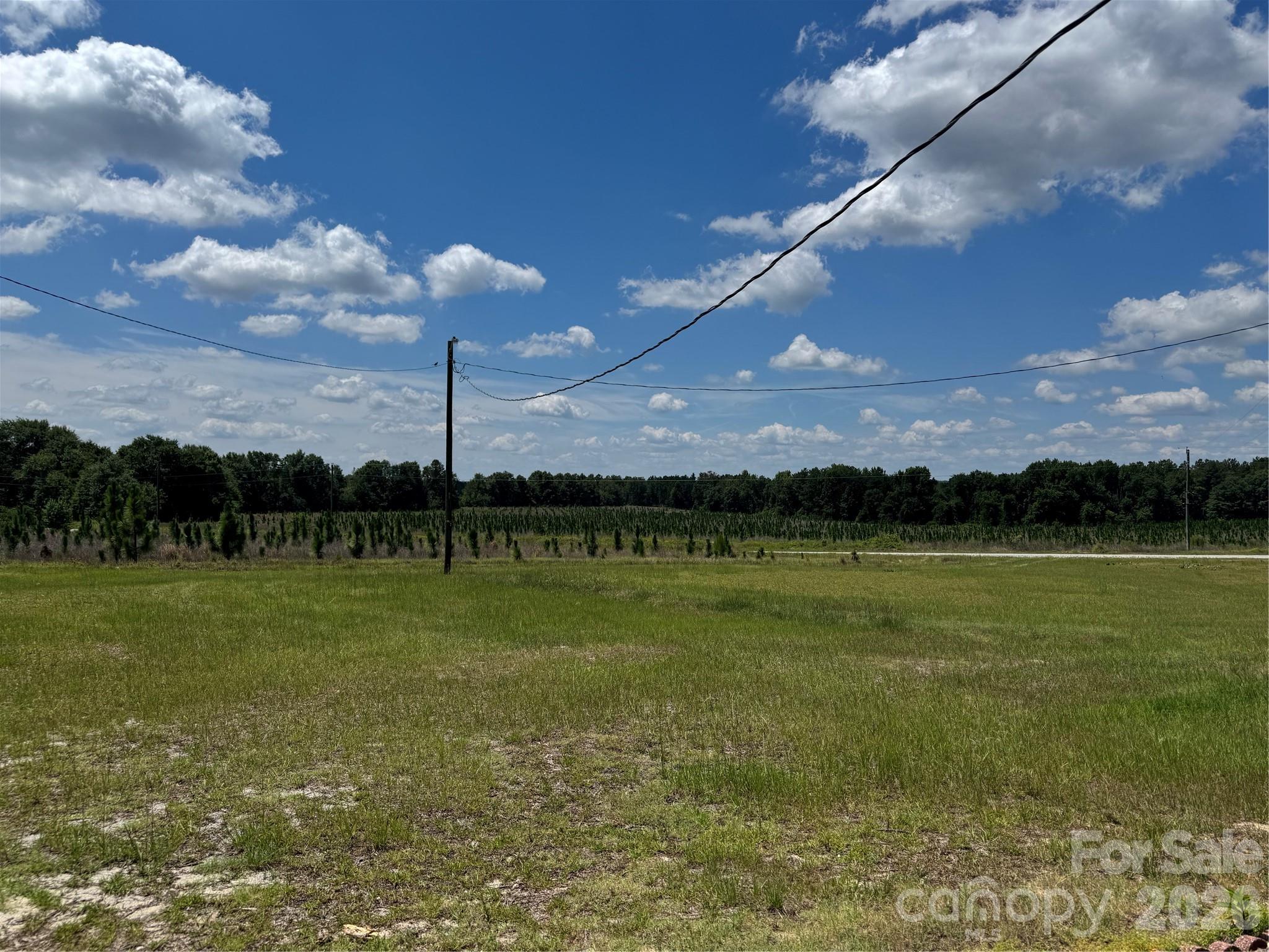 2401 Woodward Mill Road Property Photo 4