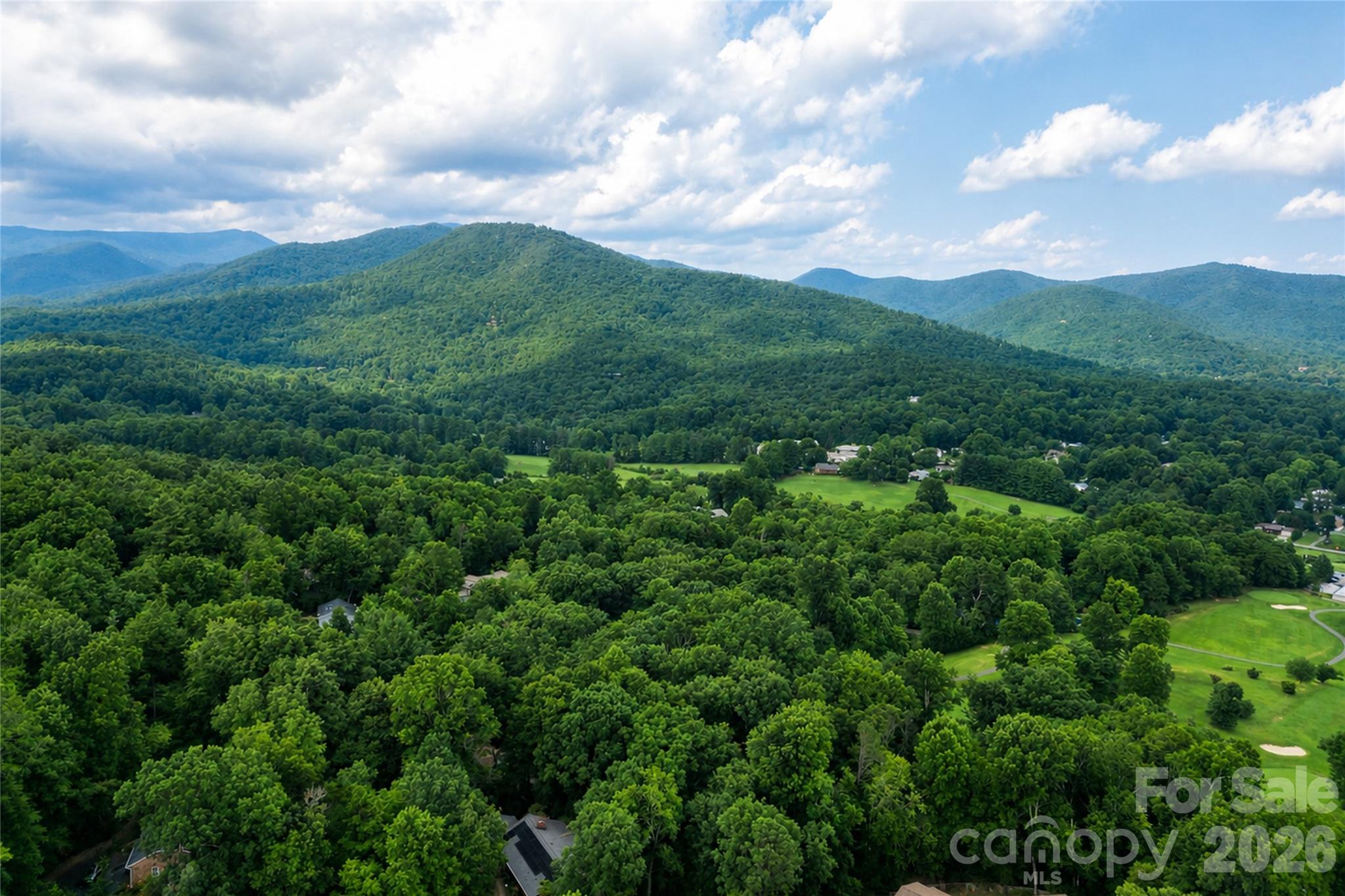228 Allen Mountain Drive Property Photo 46