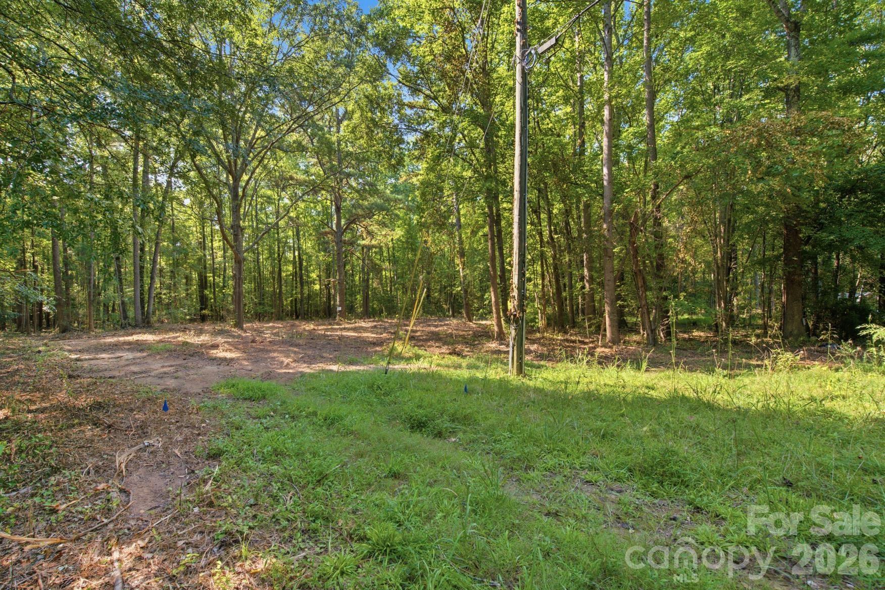 2999 Starnes Drive Property Photo 4