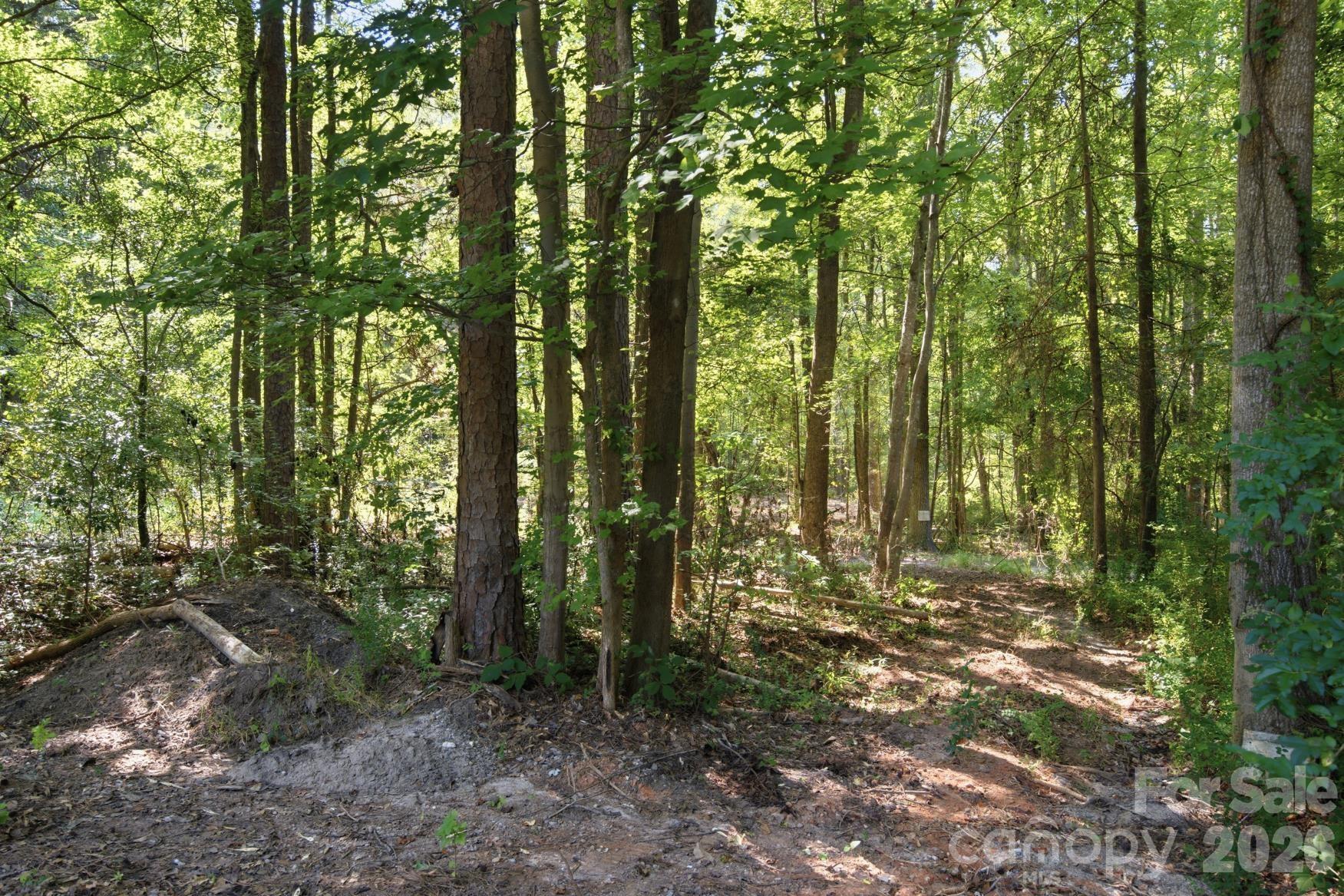 2999 Starnes Drive Property Photo 6