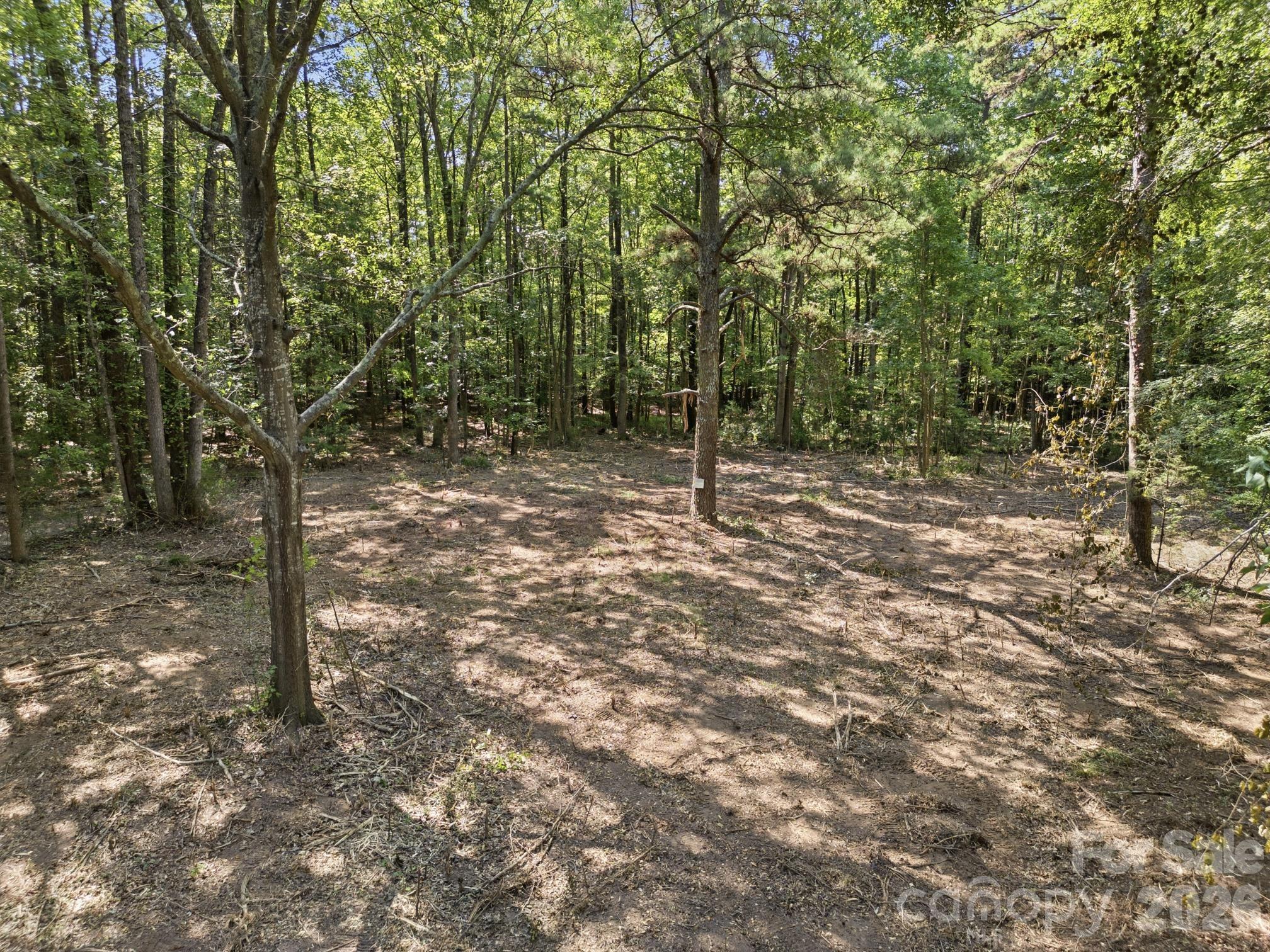 2999 Starnes Drive Property Photo 7