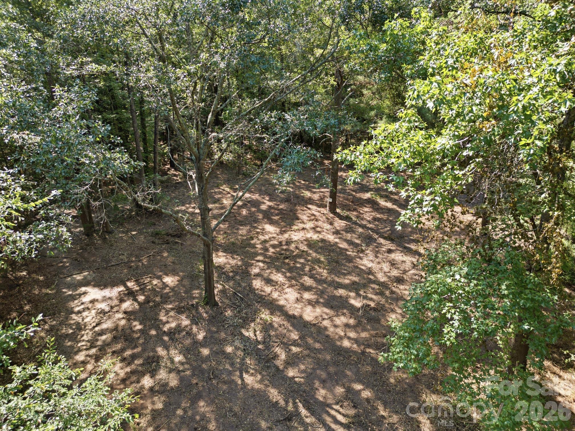 2999 Starnes Drive Property Photo 10