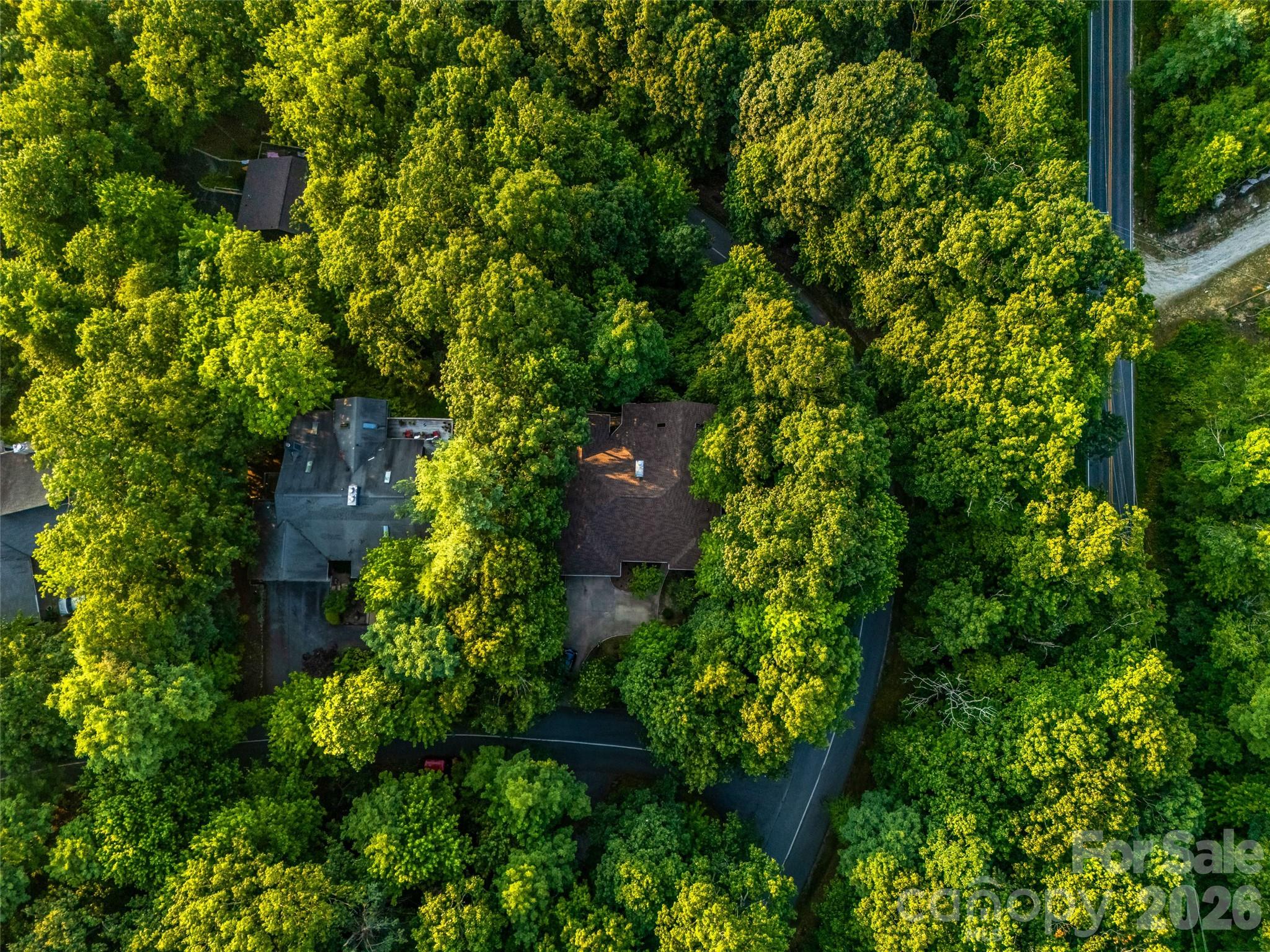 20 Adohi Court Property Photo 43