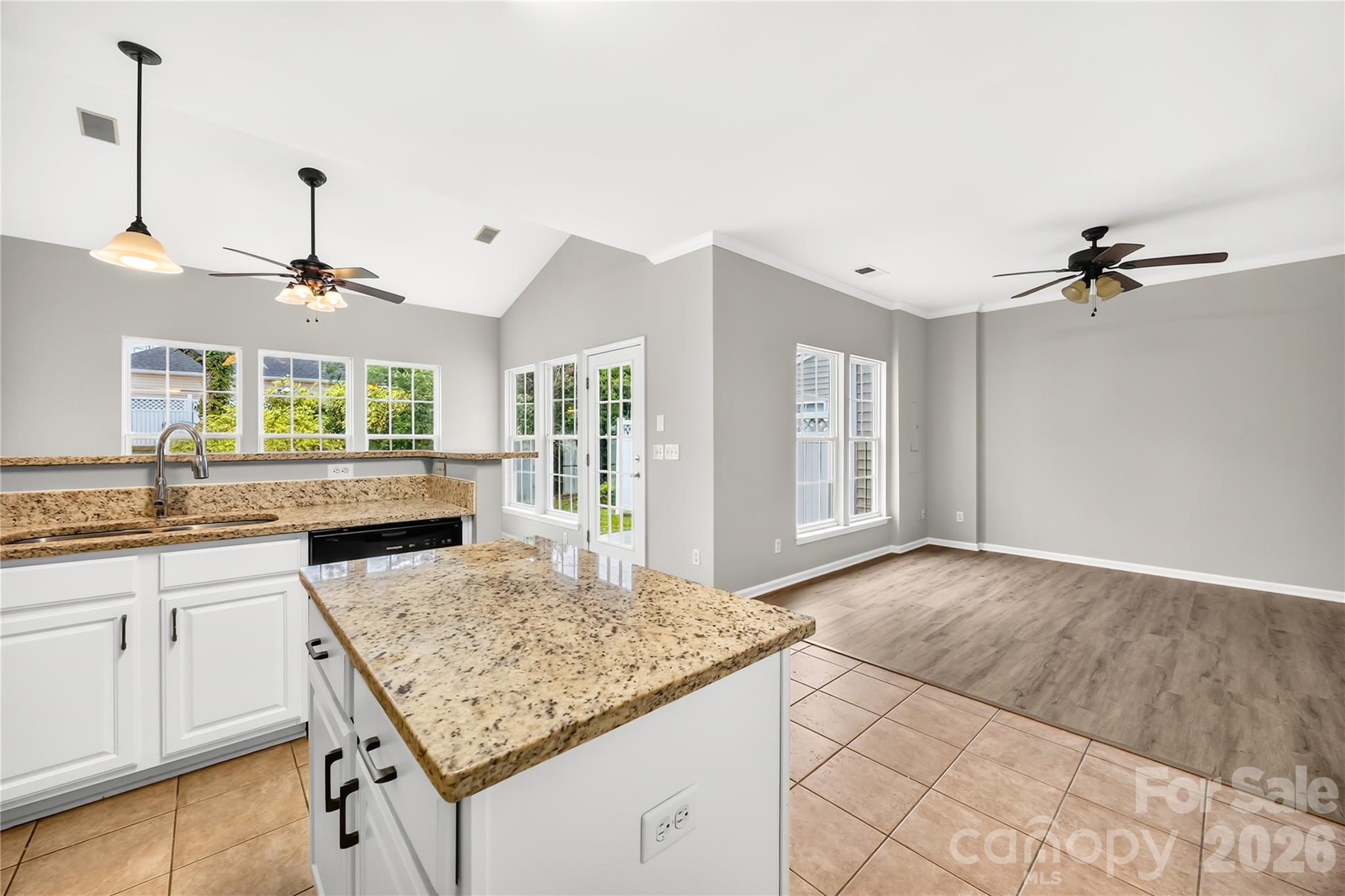 10011 Alexander Martin Avenue Property Photo 13