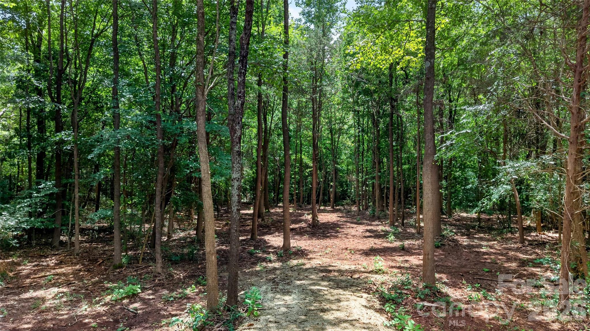 3545 Travis Lane Property Photo 6