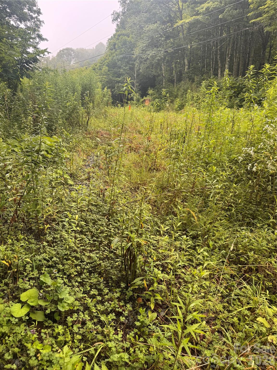 Tbd Sugar Mountain 2 Road B Property Photo 4