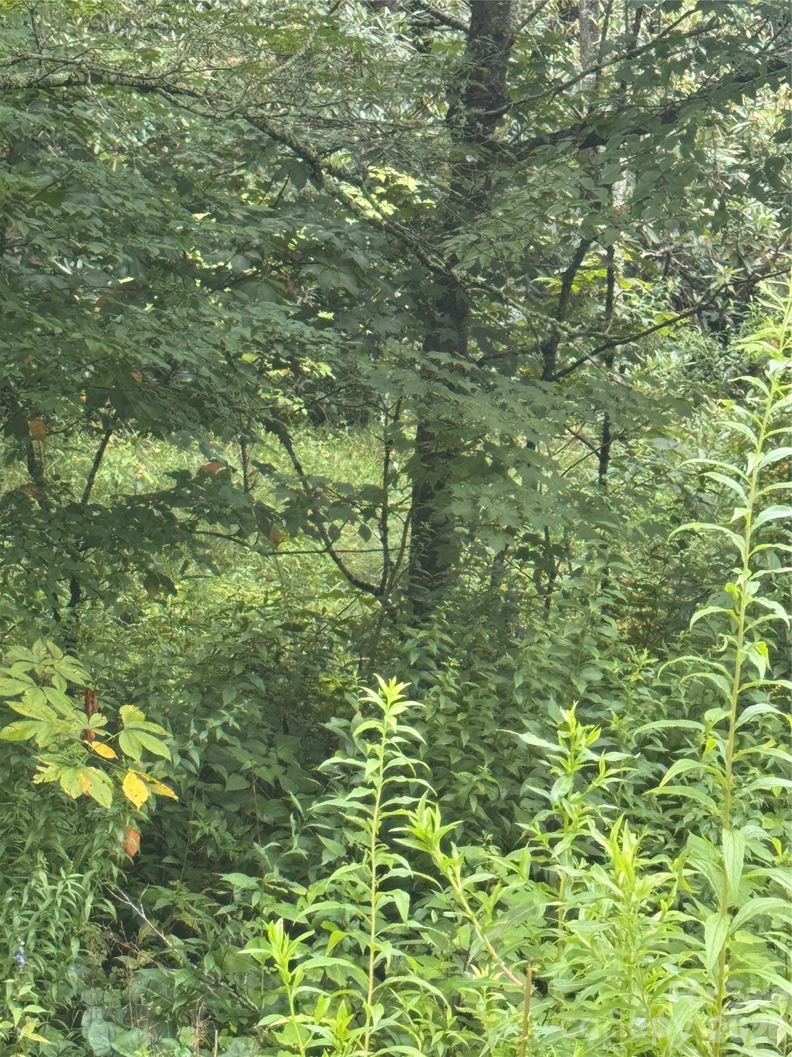 Tbd Sugar Mountain 2 Road B Property Photo 6